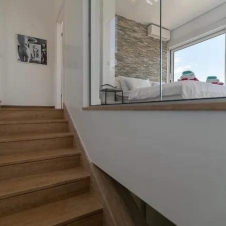 فيلة House تروغير